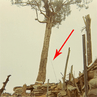 antenna